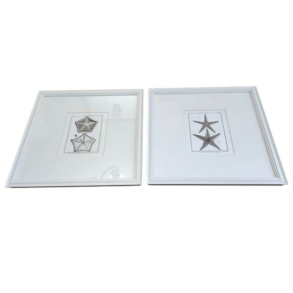 Lot 2 Large Pottery Barn Framed Starfish Beach Sea White Ocean Matte - Picture 1 of 7